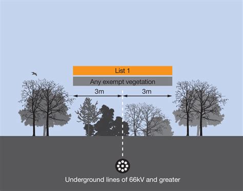 tree planting underground power lines